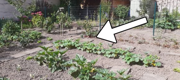 2 chambres Maison à Mayen-Koblenz, Germany No. 351724 11