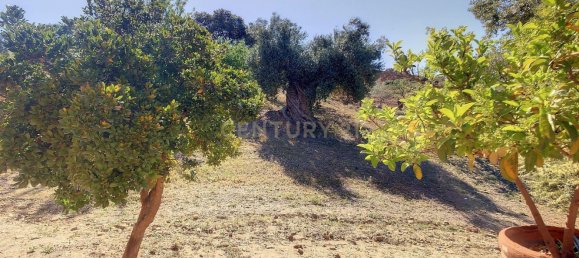 Casa de 5 dormitorios en Málaga, Spain No. 154575 7