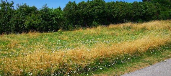  Land in Ernstbrunn, Austria No. 242900 2