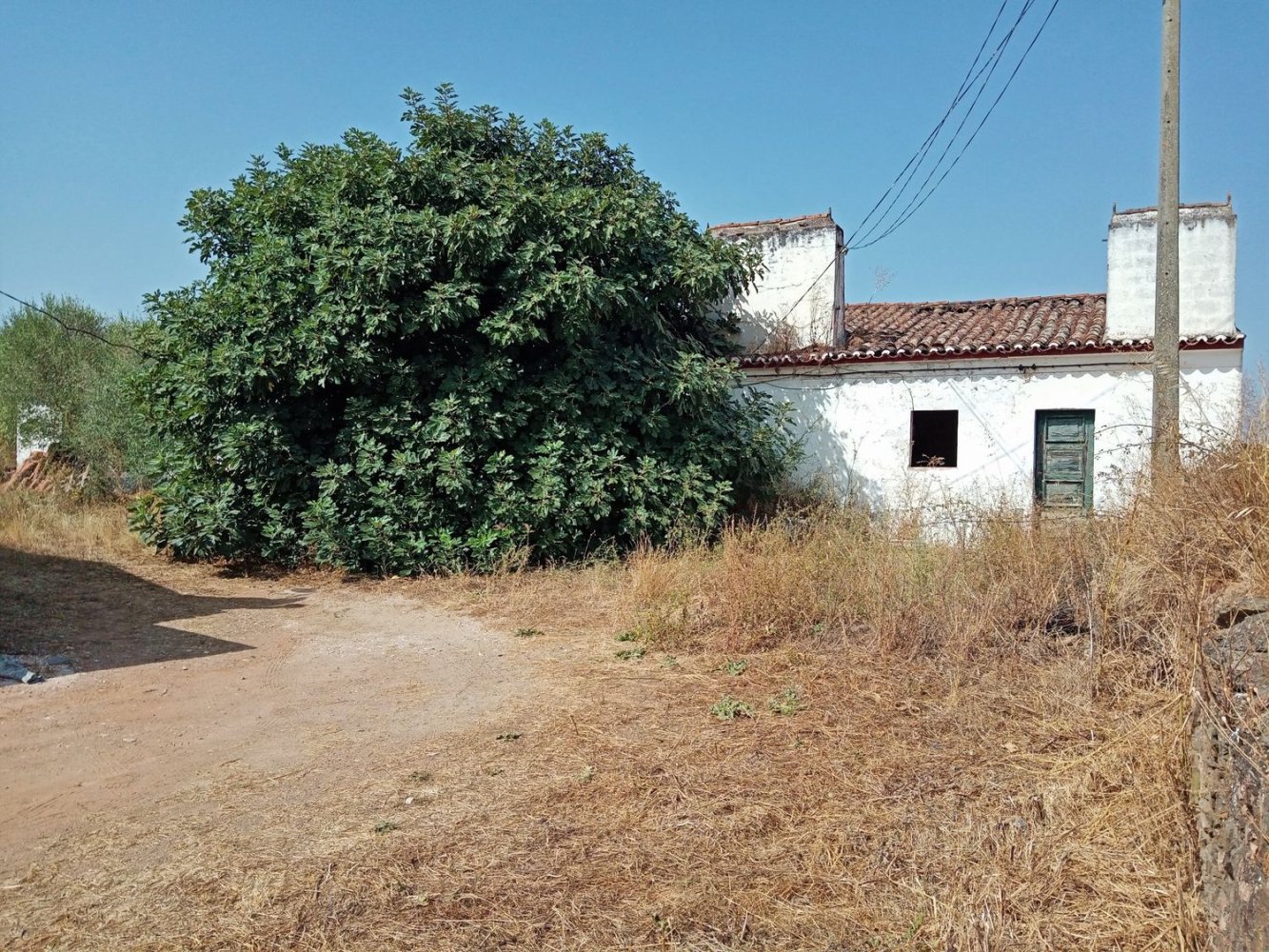 4 Schlafzimmer Haus in Estremoz, Portugal, Nr. 293767