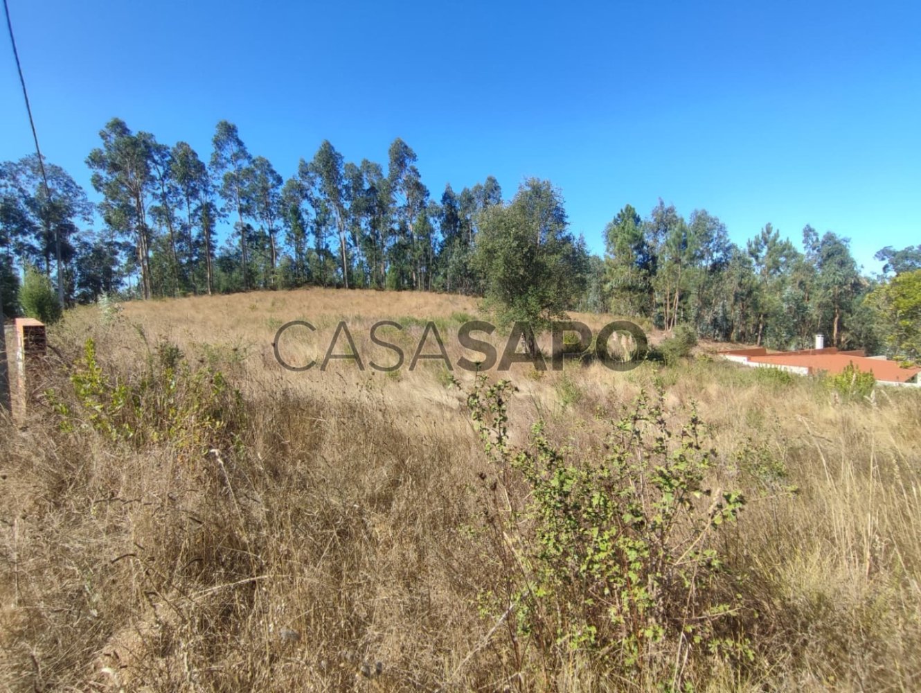  قطعة أرض في Agueda, Portugal رقم 353317