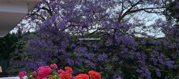 7 chambres Villa à Mijas, Spain No. 122687 17