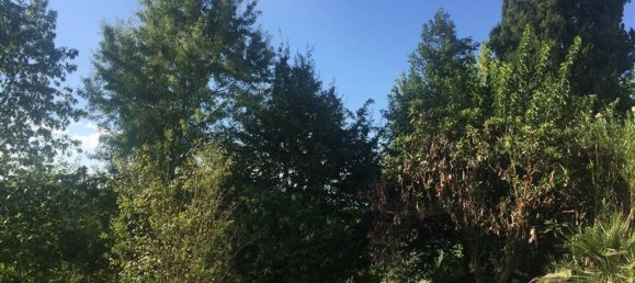 14-Zimmer Villa in Florence, Italy, Nr. 48614 11