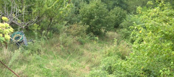 3 bedrooms House in Massa, Italy No. 358117 18