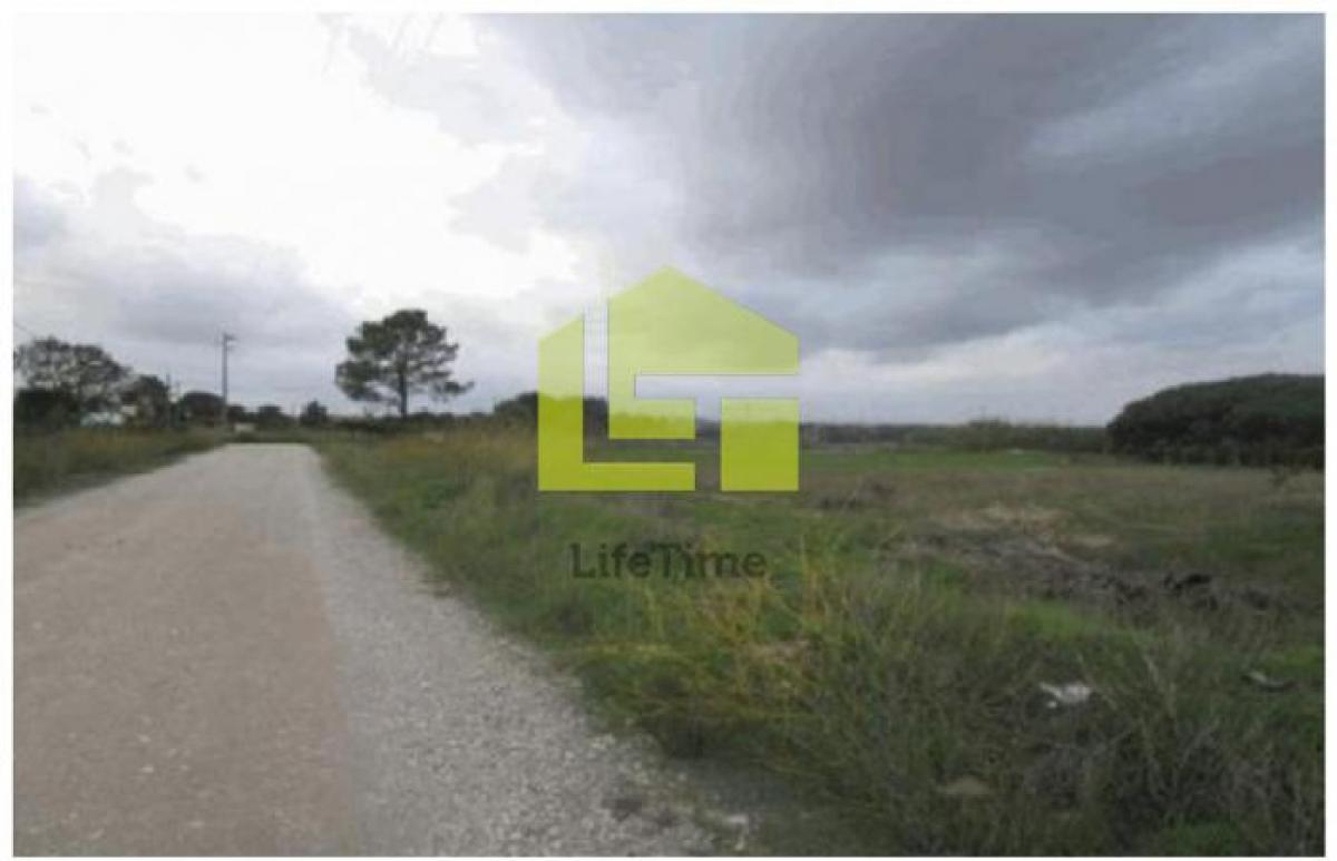 Grundstück in Palmela, Portugal, Nr. 8496