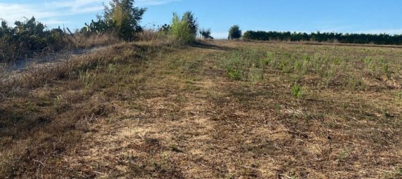 Terreno em Nettuno, Italy N.º 362479 2