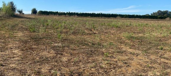 Terreno em Nettuno, Italy N.º 362479 3