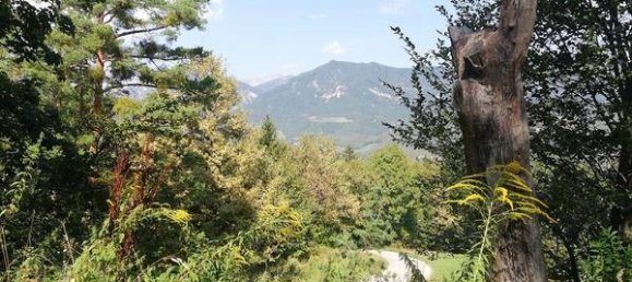 Casa de 4 dormitorios en Gloggnitz, Austria No. 44719 3