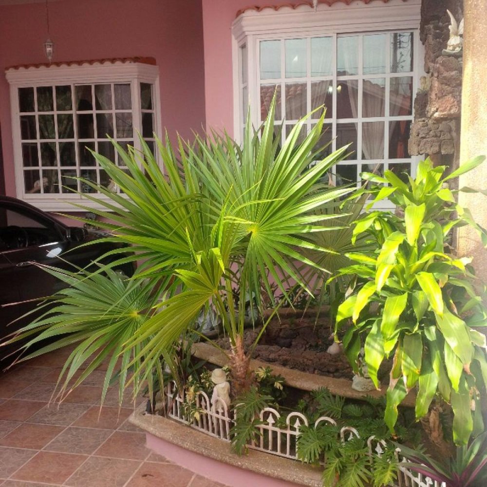 3 Schlafzimmer Haus in Veracruz, Mexico, Nr. 212114