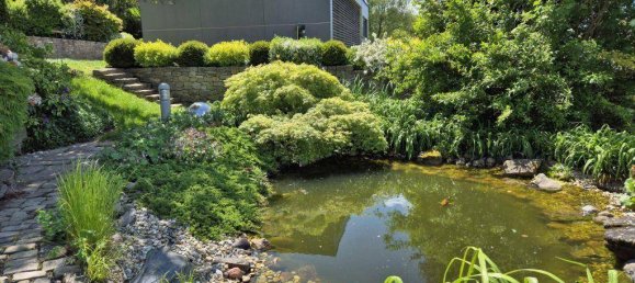 7 rooms House in Pischelsdorf am Kulm, Austria No. 174458 17