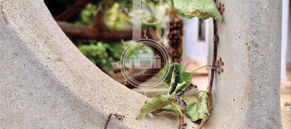 4 bedrooms Villa in Giardini-Naxos, Italy No. 223317 14