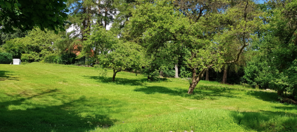 Grundstück in Ostholstein, Germany, Nr. 84987 4