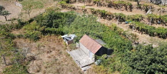 6 chambres Maison à Marco de Canaveses, Portugal No. 172267 7