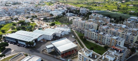 Almacén en Pechao, Portugal 815 m² No. 65689 16