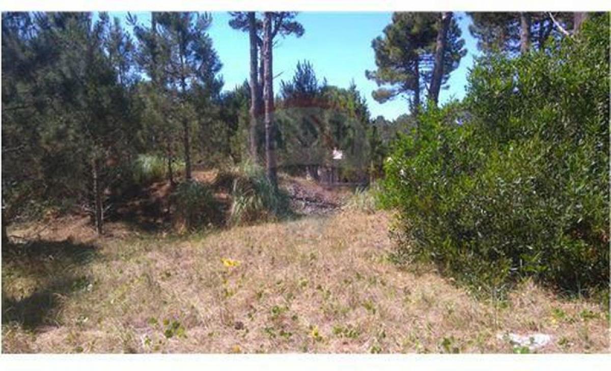 Terrain à Mar del Plata, Argentina No. 112985