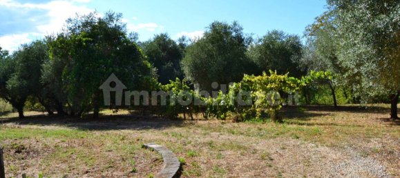 3 bedrooms Villa in Moricone, Italy No. 352306 4