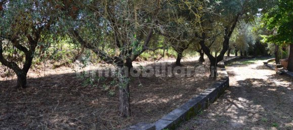 3 bedrooms Villa in Moricone, Italy No. 352306 3