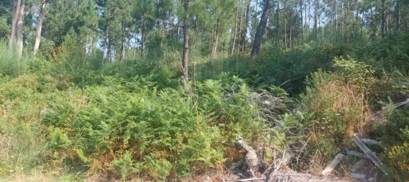  Land in Valenca, Portugal No. 58695 5