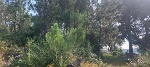  Land in Valenca, Portugal No. 58695 4