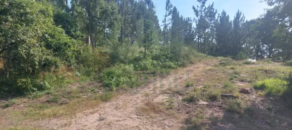  Land in Valenca, Portugal No. 58695 7