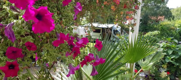 5 chambres Maison de ville à Harburg, Germany No. 217987 28