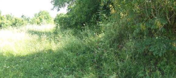  قطعة أرض في San Miniato, Italy 1100متر مربع رقم 149492 8