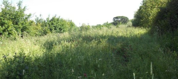  قطعة أرض في San Miniato, Italy 1100متر مربع رقم 149492 4