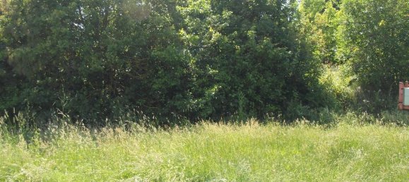  قطعة أرض في San Miniato, Italy 1100متر مربع رقم 149492 7