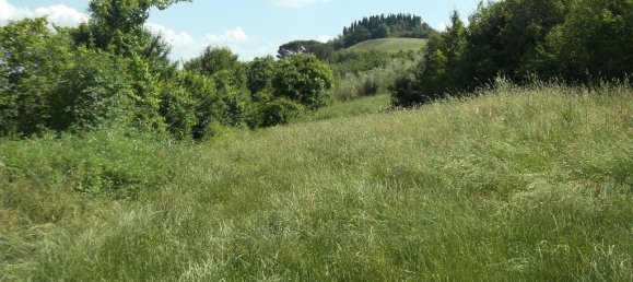  قطعة أرض في San Miniato, Italy 1100متر مربع رقم 149492 5