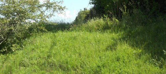  قطعة أرض في San Miniato, Italy 1100متر مربع رقم 149492 3