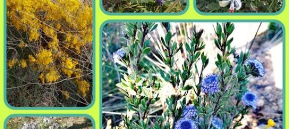 21000m² Land in Lleida, Spain No. 159814 4