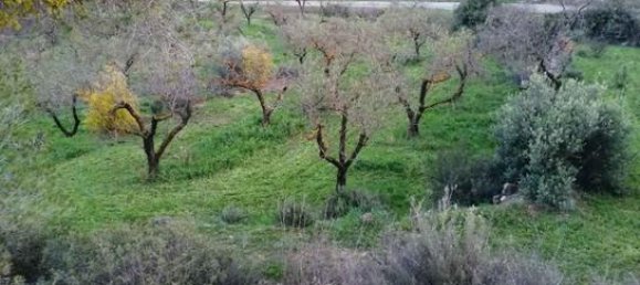 21000m² Land in Lleida, Spain No. 159814 6