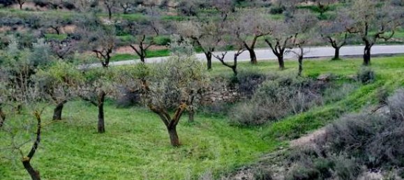 21000m² Land in Lleida, Spain No. 159814 5