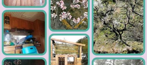 21000m² Land in Lleida, Spain No. 159814 3