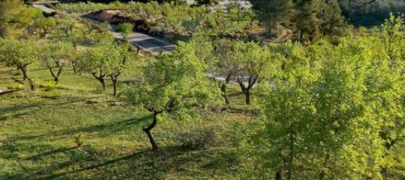 21000m² Land in Lleida, Spain No. 159814 7