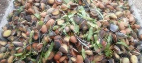 21000m² Land in Lleida, Spain No. 159814 2