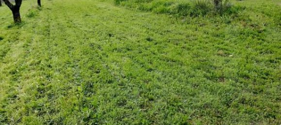 21000m² Land in Lleida, Spain No. 159814 8