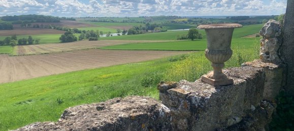 7 bedrooms Castles in Espiens, France No. 294661 6