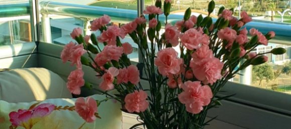 2 rooms Apartment in Oba, Turkey No. 22472 25