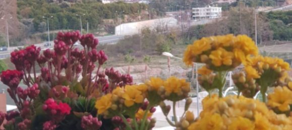 2 rooms Apartment in Oba, Turkey No. 22472 27