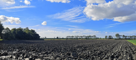 Terrain à Aurich, Germany No. 306258 4