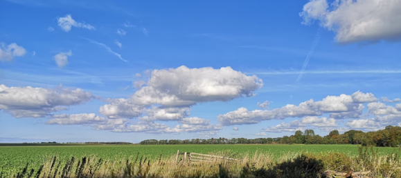 Terrain à Aurich, Germany No. 306258 2