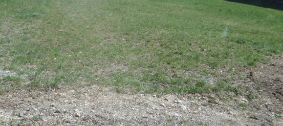 820m² Land in Eberndorf, Austria No. 224548 4