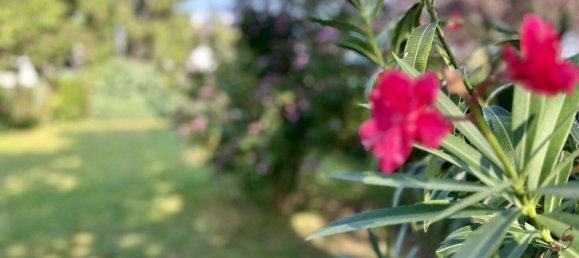 4غرفة شقة في St. Andra-Wordern, Austria رقم 249136 27