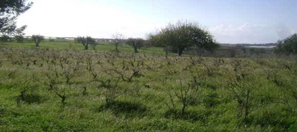 3-Zimmer Haus in Noto, Italy, Nr. 68448 7