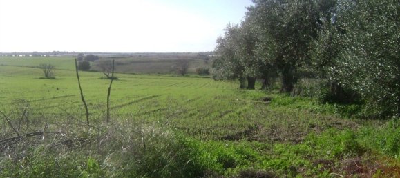 3-Zimmer Haus in Noto, Italy, Nr. 68448 11