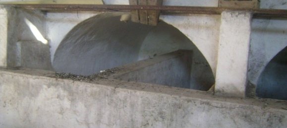 3-Zimmer Haus in Noto, Italy, Nr. 68448 16