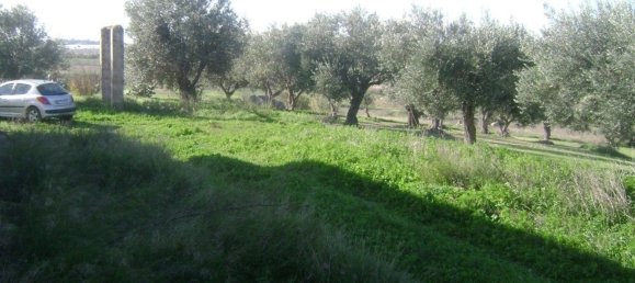 3-Zimmer Haus in Noto, Italy, Nr. 68448 5