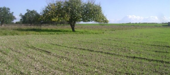 3-Zimmer Haus in Noto, Italy, Nr. 68448 22