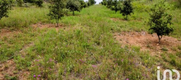 Terreno en Castelreng, France 15645 m² No. 96651 2